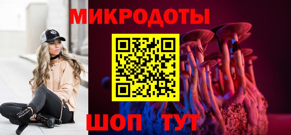 Знаменск  Галлюциногенные грибы мицелий  Вход с VPN 